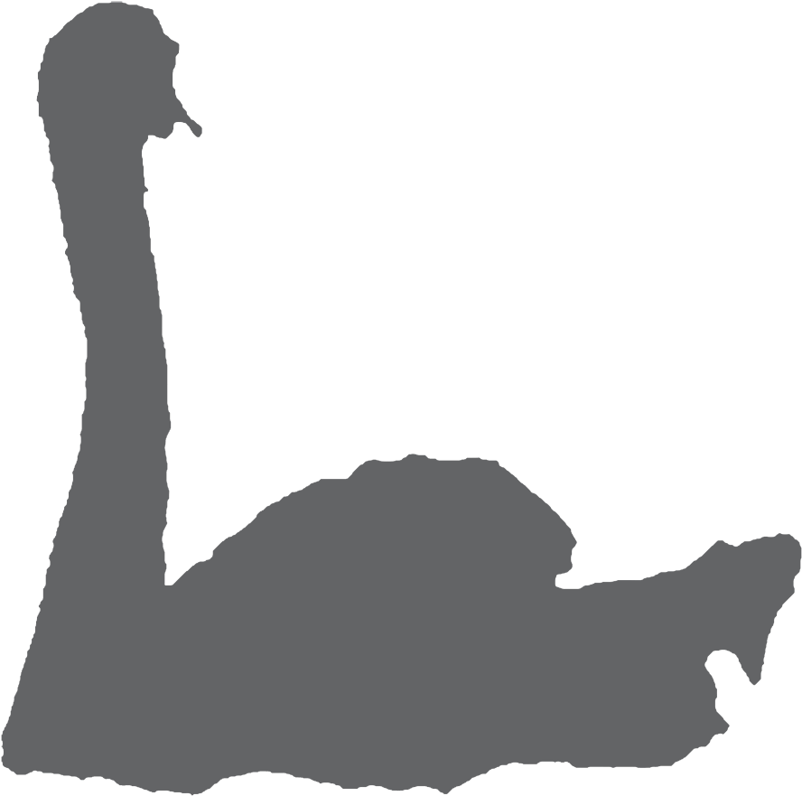 Swan In Water - Swan In Water (1000x906)