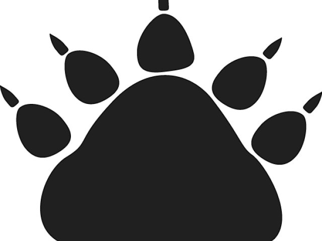 Paw Clipart Black Bear - Paw Clipart Black Bear (640x480)