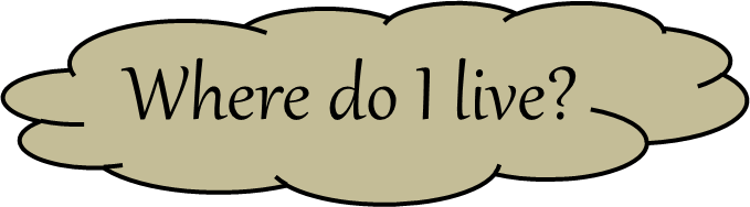 Comparing The Morphology Of The Two Species Of Clouded - Comparing The Morphology Of The Two Species Of Clouded (679x188)