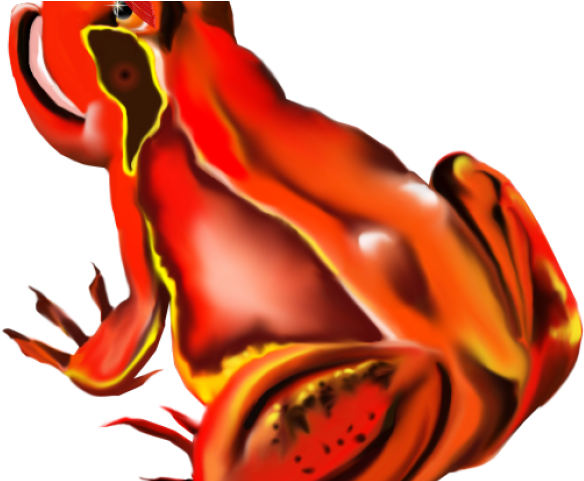 Frog Clipart Orange - Frog Clipart Orange (640x480)
