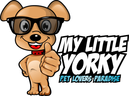 Little Yorky Little Yorky - Little Yorky Little Yorky (450x336)