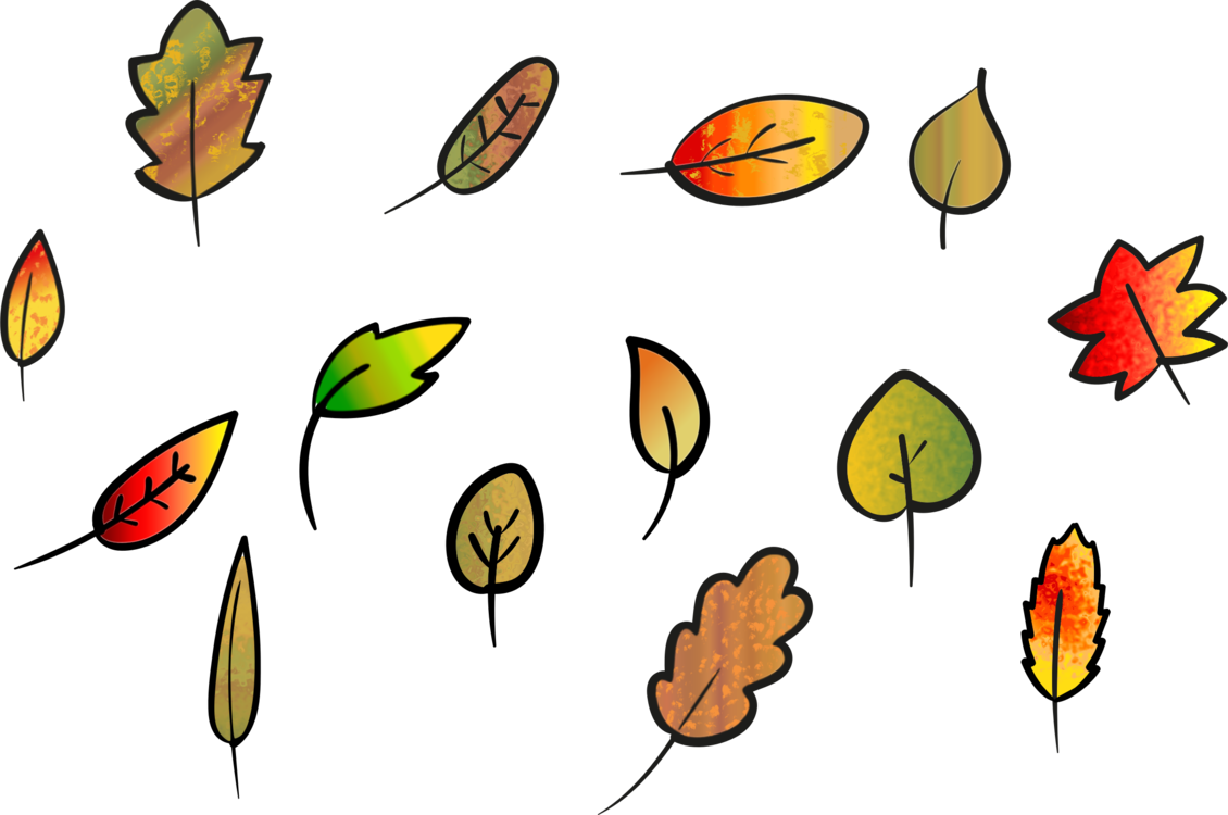 Petal Insect Food Leaf Pollinator - Petal Insect Food Leaf Pollinator (1130x750)