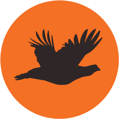 Iupland Pro Tip - Iupland Pro Tip (417x417)