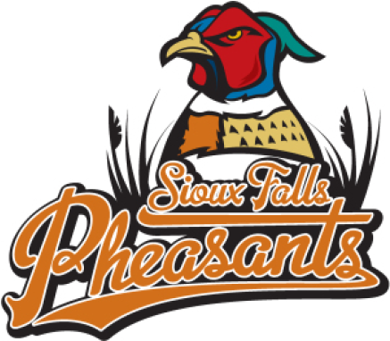 Sioux Falls Fighting Pheasants - Sioux Falls Fighting Pheasants (678x381)