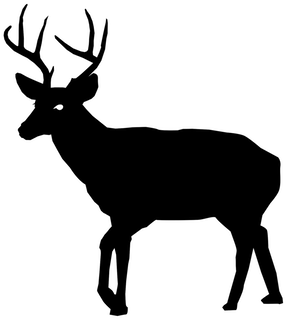 Hunting Mammals - Hunting Mammals (300x424)