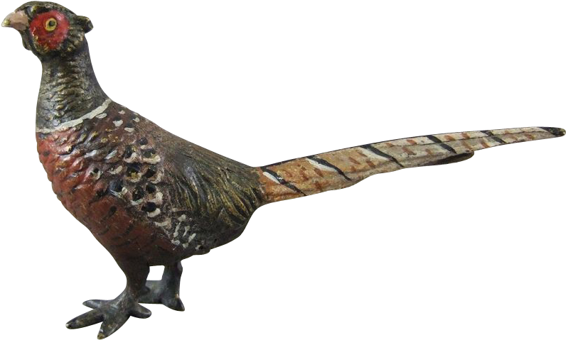 Pheasant Transparent Background - Pheasant Transparent Background (795x795)