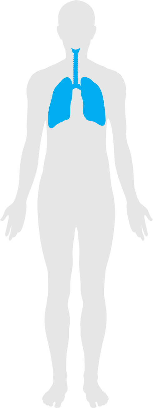 Fitness Features Help To Improve Lung Function And - Fitness Features Help To Improve Lung Function And (505x1302)