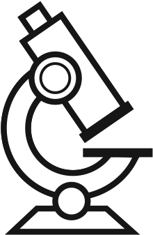 Padma Basic - Padma Basic (350x350)