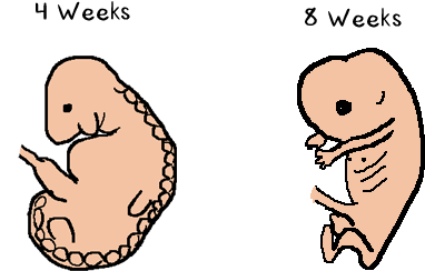 The Thing About Nipples Is That The Basic Structures - The Thing About Nipples Is That The Basic Structures (441x282)