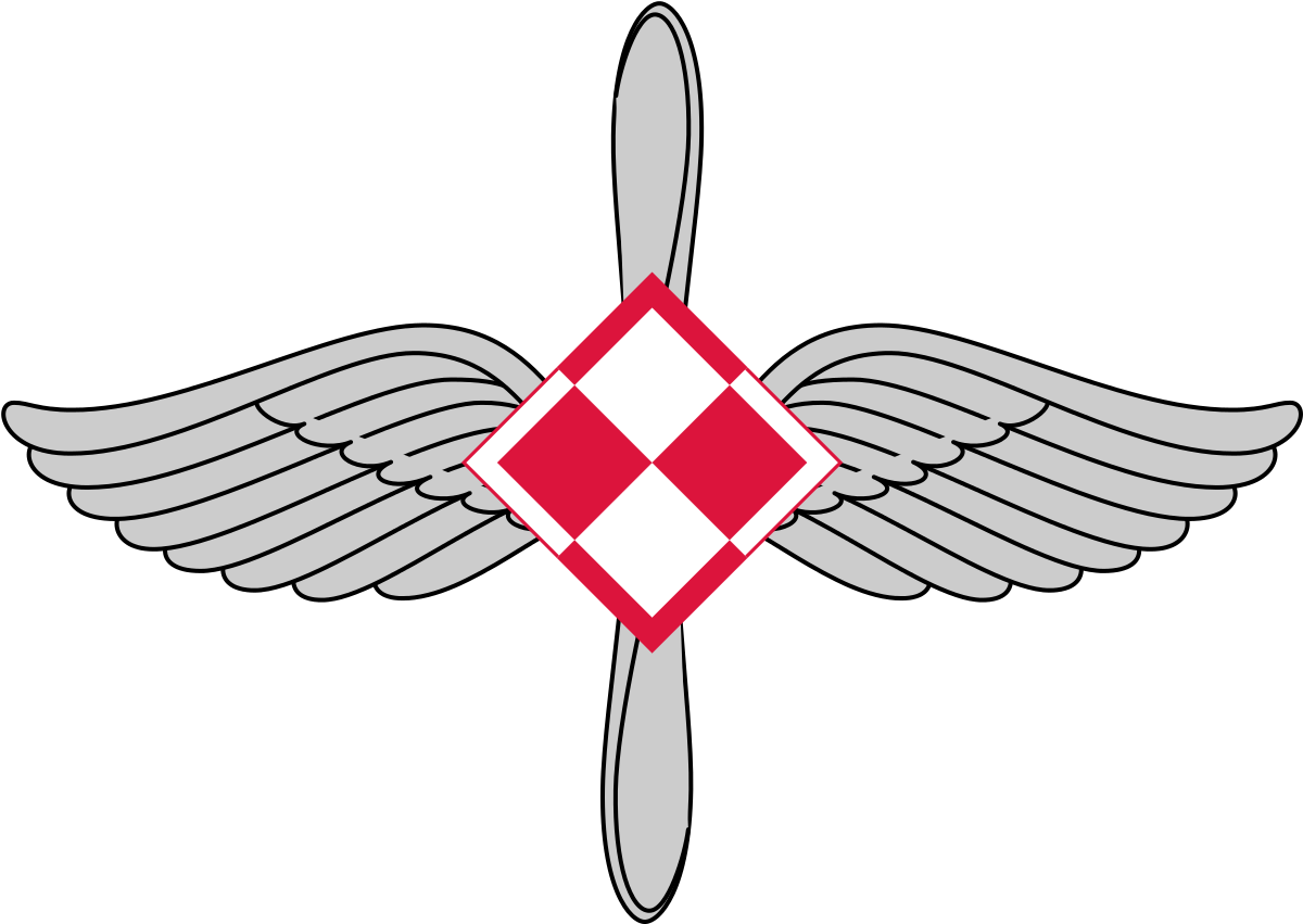 Polish Air Force Branch Insignia - Polish Air Force Branch Insignia (1280x930)