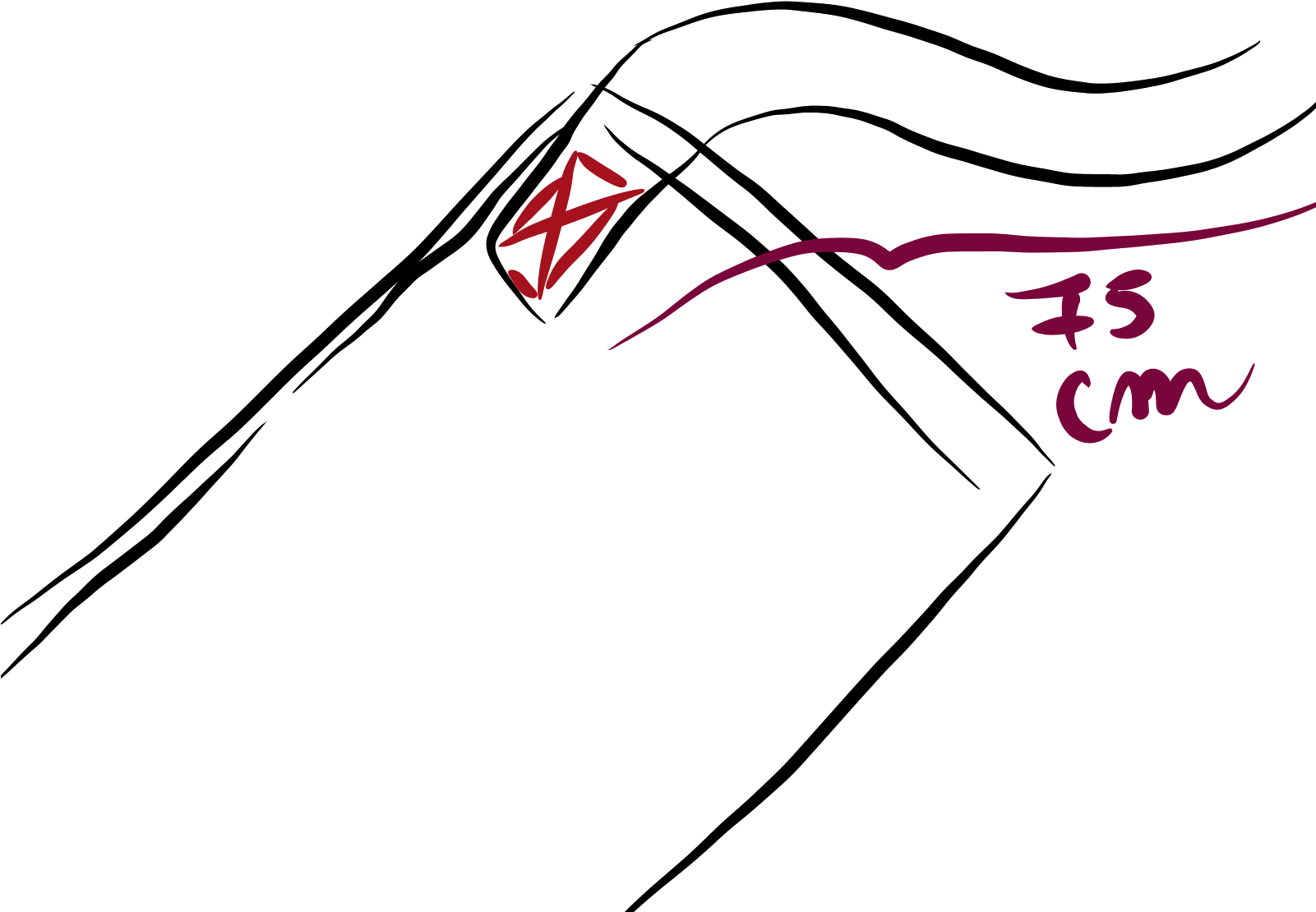 Tiras De La Parte Del Contorno Del Torso - Tiras De La Parte Del Contorno Del Torso (1600x1200)