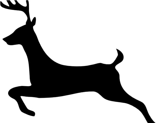 Reindeer Clipart Vector - Reindeer Clipart Vector (640x480)