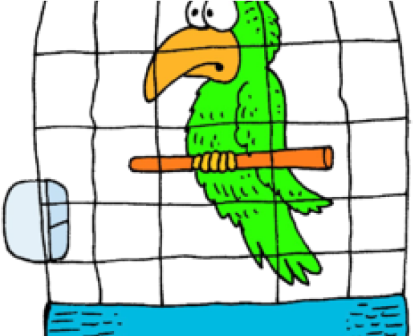 Cage Clipart Parrot - Cage Clipart Parrot (640x480)