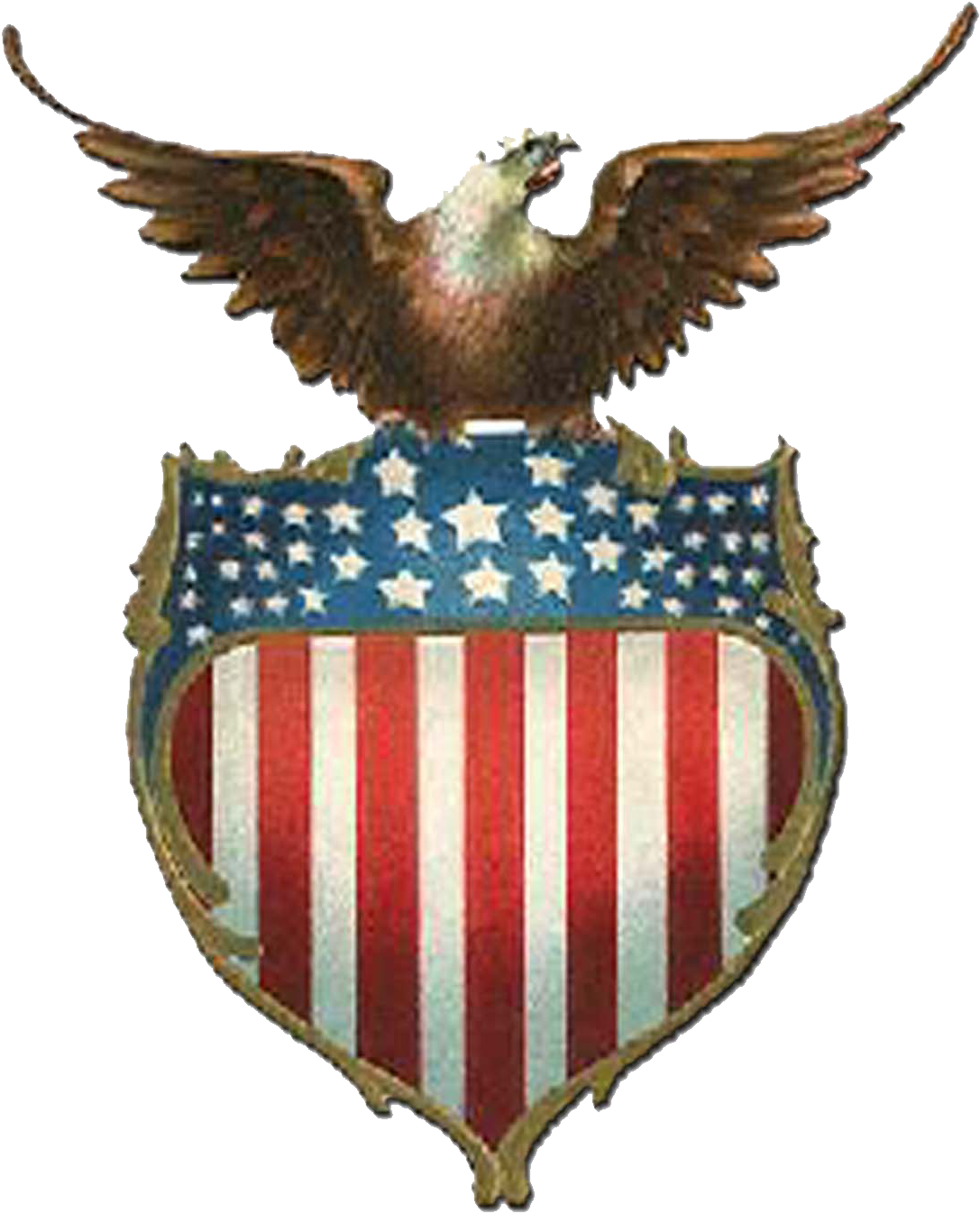 Usa Eagle Png - Usa Eagle Png (1087x1346)