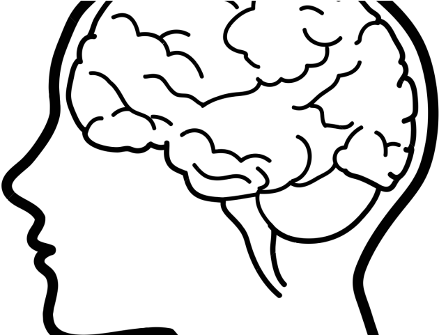 Brains Clipart Line Art - Brains Clipart Line Art (640x480)