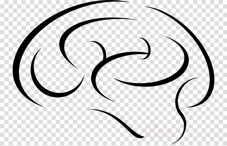 Brain Sketch Clipart Human Brain - Brain Sketch Clipart Human Brain (900x580)
