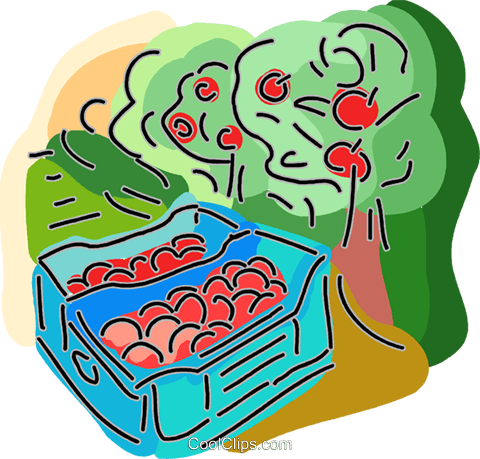 Apple Orchard Royalty Free Vector Clip Art Illustration - Apple Orchard Royalty Free Vector Clip Art Illustration (480x459)