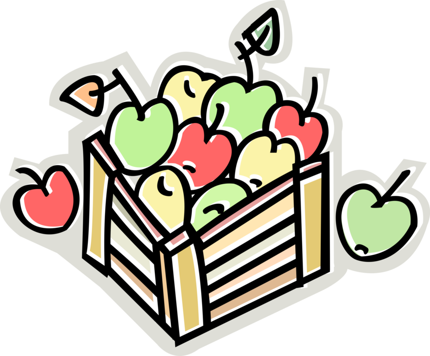 Vector Illustration Of Apple Orchard Harvest Crate - Vector Illustration Of Apple Orchard Harvest Crate (847x700)