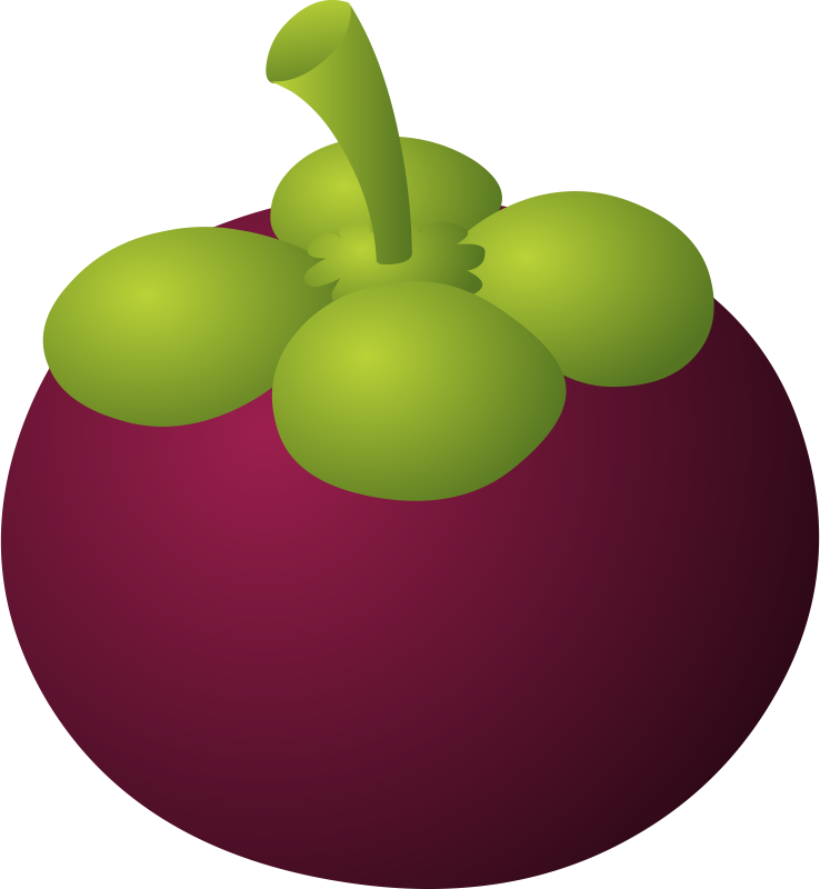 Mangosteen Printout Orange Fruit, Fruit Clipart, Clip - Mangosteen Printout Orange Fruit, Fruit Clipart, Clip (738x800)