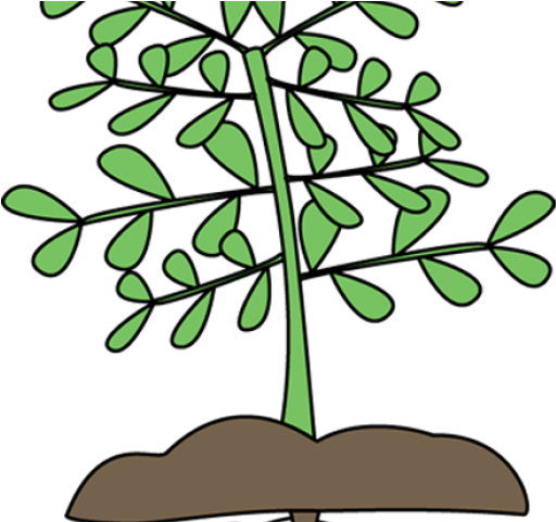 Tree Clipart Clipart Nursery Tree - Tree Clipart Clipart Nursery Tree (640x480)