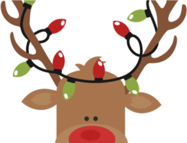 Christmas Lights Clipart Rudolph - Christmas Lights Clipart Rudolph (640x480)
