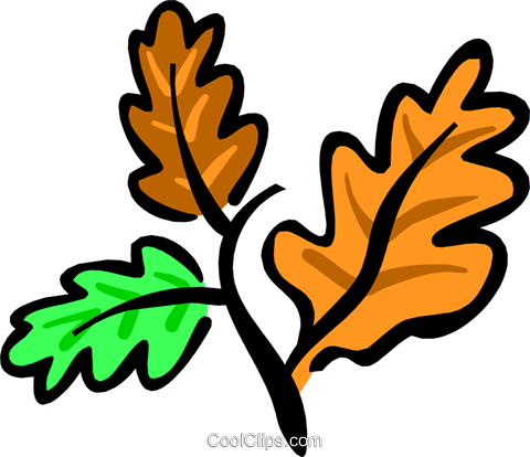 Autumn Leaves Royalty Free Vector Clip Art Illustration - Autumn Leaves Royalty Free Vector Clip Art Illustration (480x414)