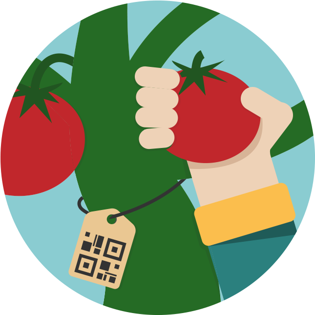 The Producer Collects And Selects The Raw Material - The Producer Collects And Selects The Raw Material (800x800)