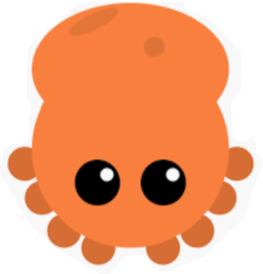 Ocean Food Chain Animals - Ocean Food Chain Animals (384x401)