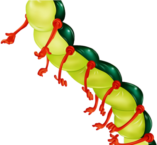 Centipede Clipart - Centipede Clipart (640x480)
