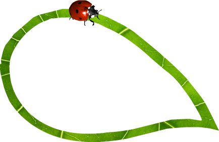 Foodchains - ' - Foodchains - ' (434x282)