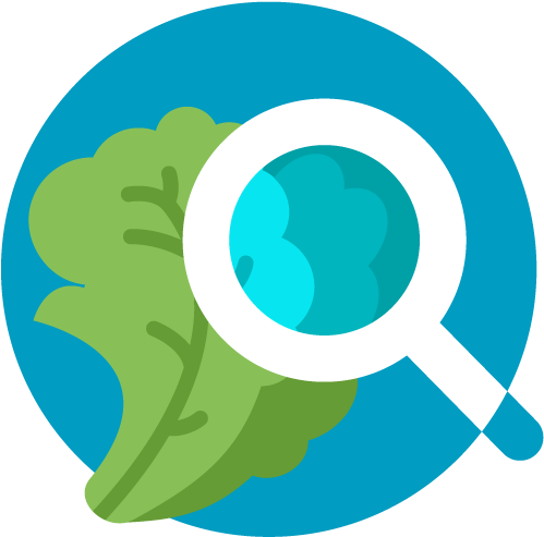 Food Safety - Food Safety (526x525)