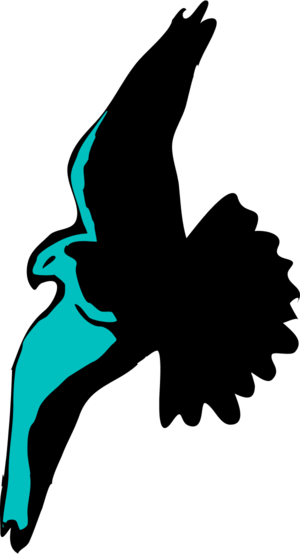 Flying Eagle Vector Clip Art - Flying Eagle Vector Clip Art (300x554)