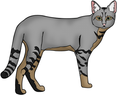 Expected Student Responses, On The Tiny Papers And - Expected Student Responses, On The Tiny Papers And (480x480)