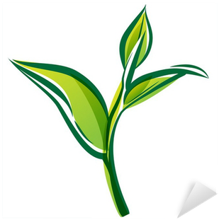 Green Tea Leaf Isolated On White Background - Green Tea Leaf Isolated On White Background (400x400)