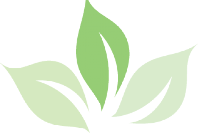 Green Tea Clipart Tea Logo - Green Tea Clipart Tea Logo (640x480)