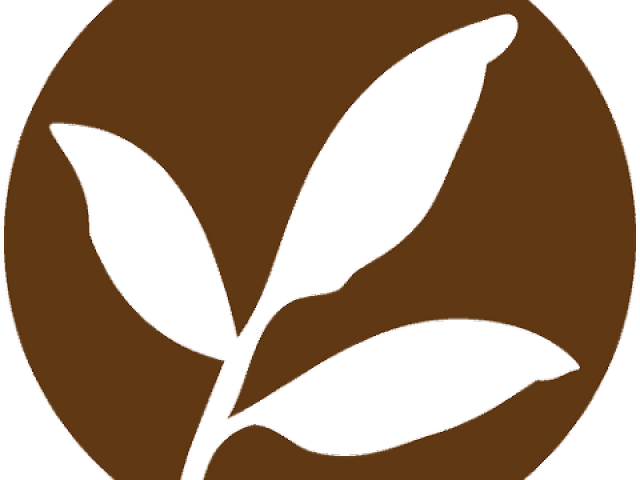 Herbs Clipart Herbal Tea - Herbs Clipart Herbal Tea (640x480)