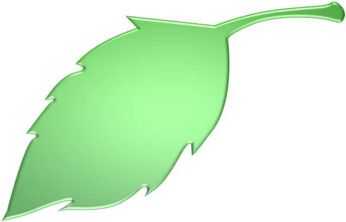 Green Leaves Clipart Long Leaf - Green Leaves Clipart Long Leaf (720x720)
