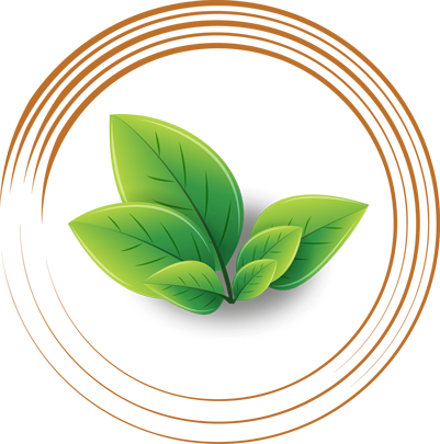 Explore Loose Leaf Tea - Explore Loose Leaf Tea (401x405)