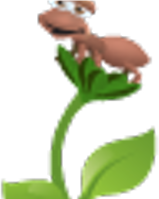 The Real Cie - The Real Cie (400x400)
