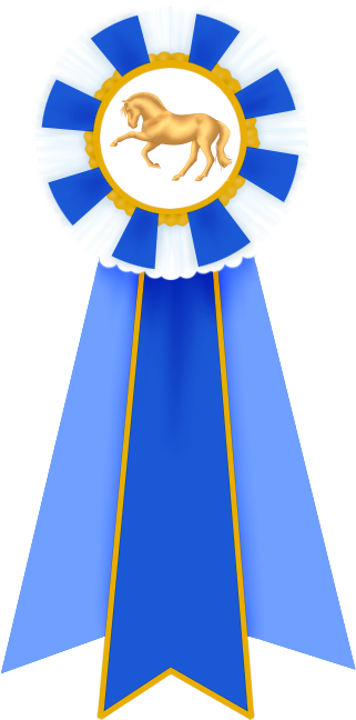 First Place Ribbon By Flamestorm11 - First Place Ribbon By Flamestorm11 (321x648)