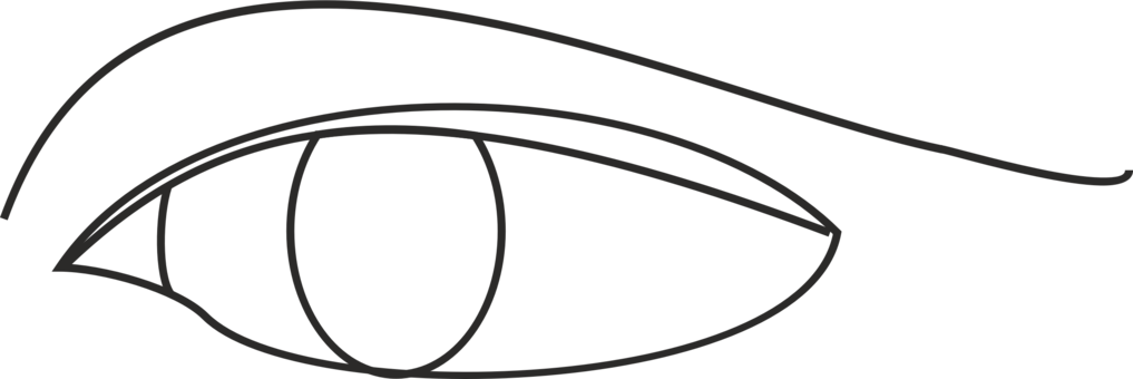 Line Art Drawing Eye Diagram - Line Art Drawing Eye Diagram (1017x340)