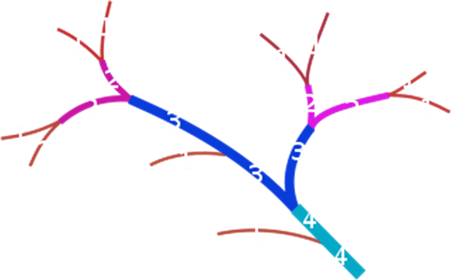 Cycle Of A Orders - Cycle Of A Orders (903x560)