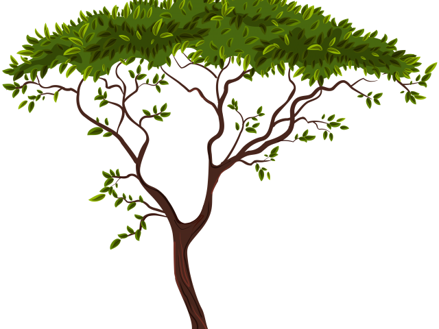 Life Clipart African Tree - Life Clipart African Tree (640x480)