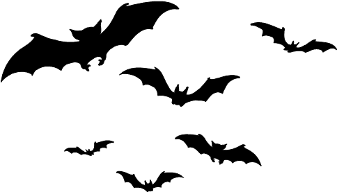 Bats Silhouette Png - Bats Silhouette Png (495x285)