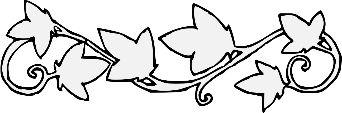 Ivy Vine - Ivy Vine (1331x468)
