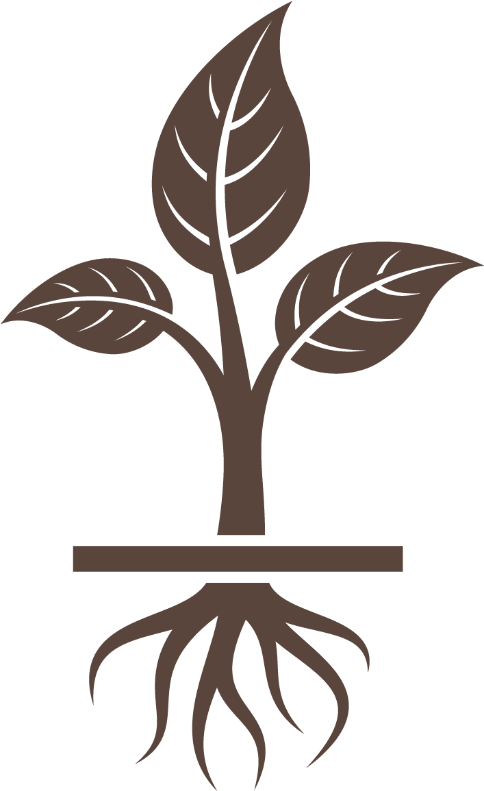 Poison Ivy Plant Png - Poison Ivy Plant Png (1250x1250)