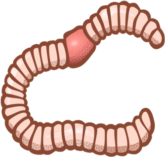 Earthworm Computer Icons Encapsulated Postscript Download - Earthworm Computer Icons Encapsulated Postscript Download (355x340)