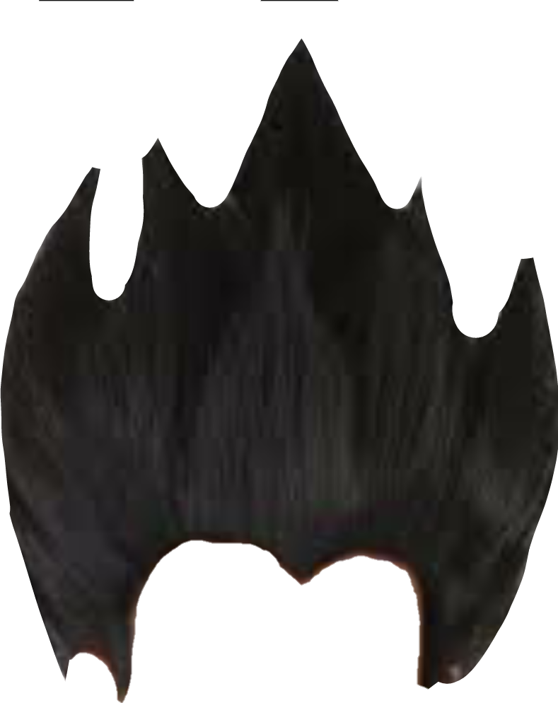 Crazy Hair Png - Crazy Hair Png (789x994)