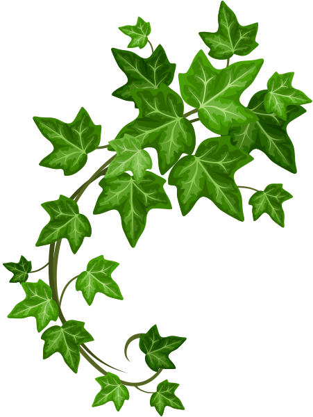 Green Pantry - Green Pantry (451x600)