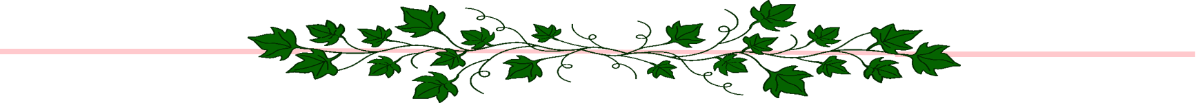 Epsilon Epsilon Chapter Alpha Kappa Alpha Sorority - Epsilon Epsilon Chapter Alpha Kappa Alpha Sorority (1737x150)